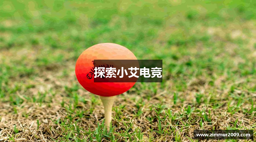探索小艾电竞
